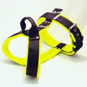 Erős kutyahámok sétához, edzéshez, őrző-védő munkához