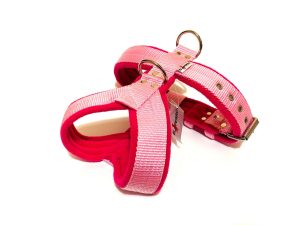 Bélelt hám kutyáknak, El Perro