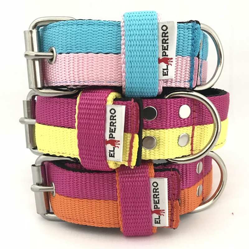 Két színű El Perro nyakörv, 5 cm