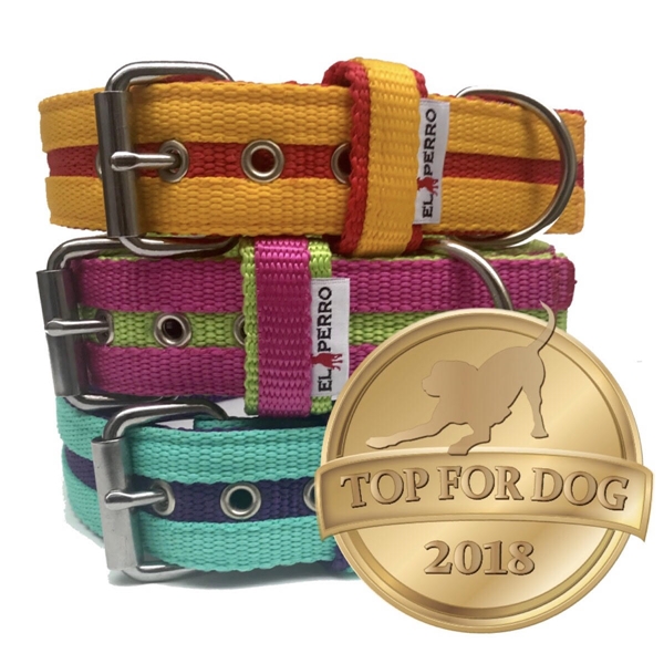 4 cm széles JUICY SWEET STRIPS erős nyakörv