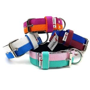 Két színű El Perro nyakörv, 5 cm