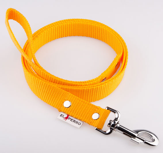 Erős póráz kistestű kutyáknak