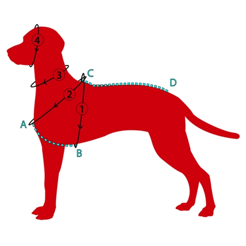 El Perro AIR X-BACK súlyhúzó hám El Perro méretezési ábra