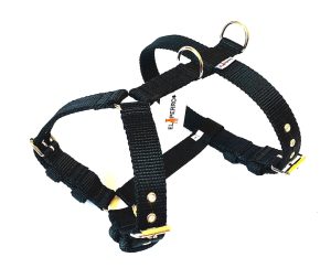 Kutyahám, El Perro, 2.5 cm