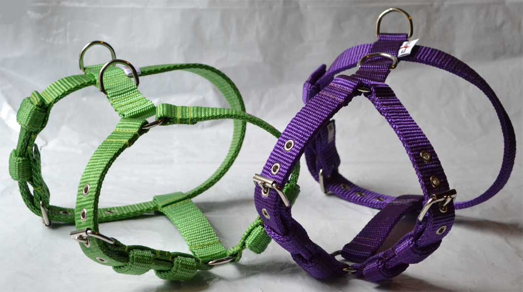 Kutyahám, El Perro, 2.5 cm Kutyahám, El Perro, 2.5 cm széles, lime, lila