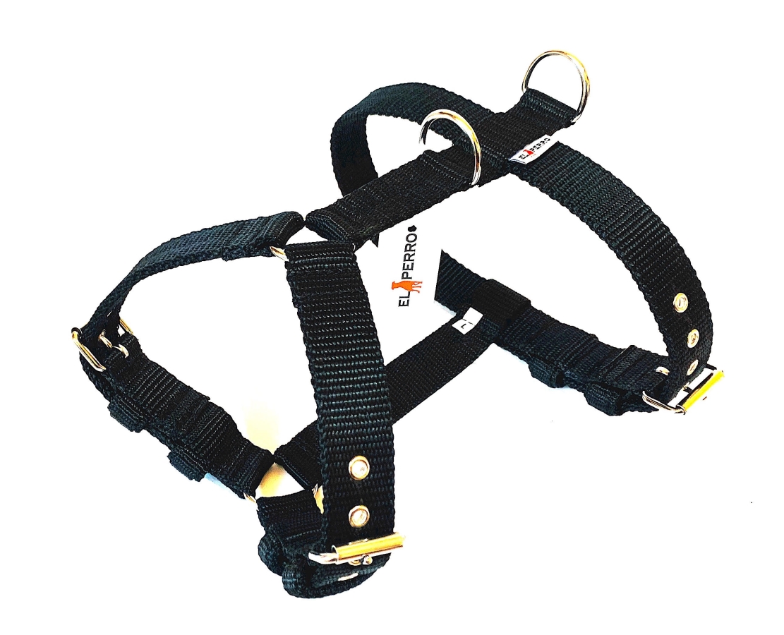 Kutyahám, El Perro, 2.5 cm Kutyahám, El Perro, 2.5 cm