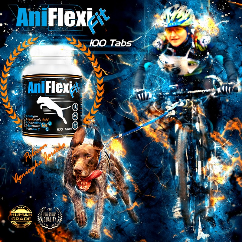 Aniflexi Fit tabletta, 30db Aniflexi Fit tabletta