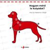 El Perro méretezési ábra