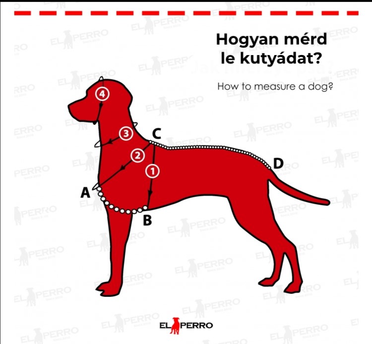 Erős, bélelt, állítható kutyahám, El Perro, 4 cm El Perro méretezési ábra