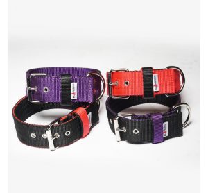 5 cm széles El Perro INSIDE nyakörv