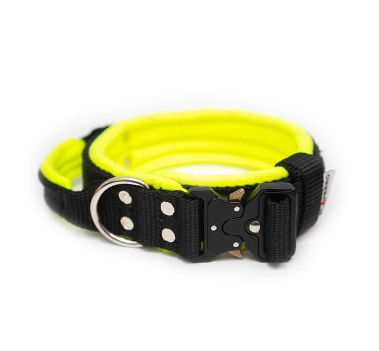 El Perro Extreme bélelt nyakörv, 4 cm