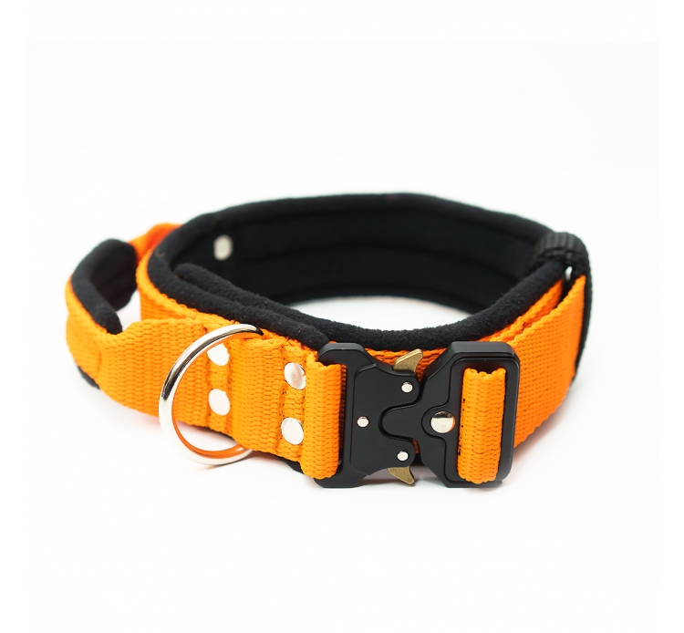 El Perro Extreme bélelt nyakörv, 4 cm