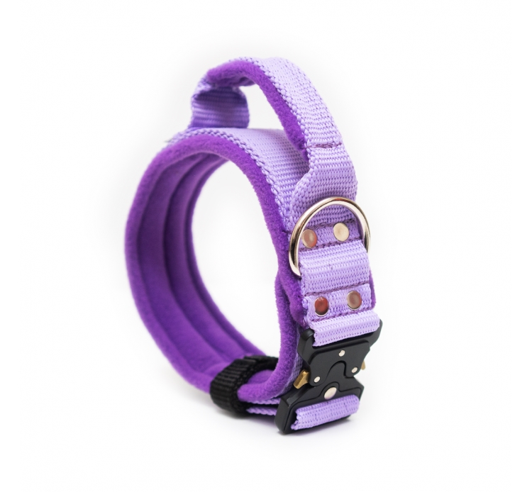 El Perro Extreme bélelt nyakörv, 4 cm