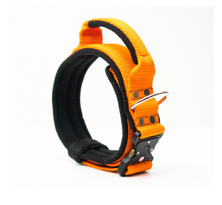 El Perro Extreme bélelt nyakörv, 4 cm