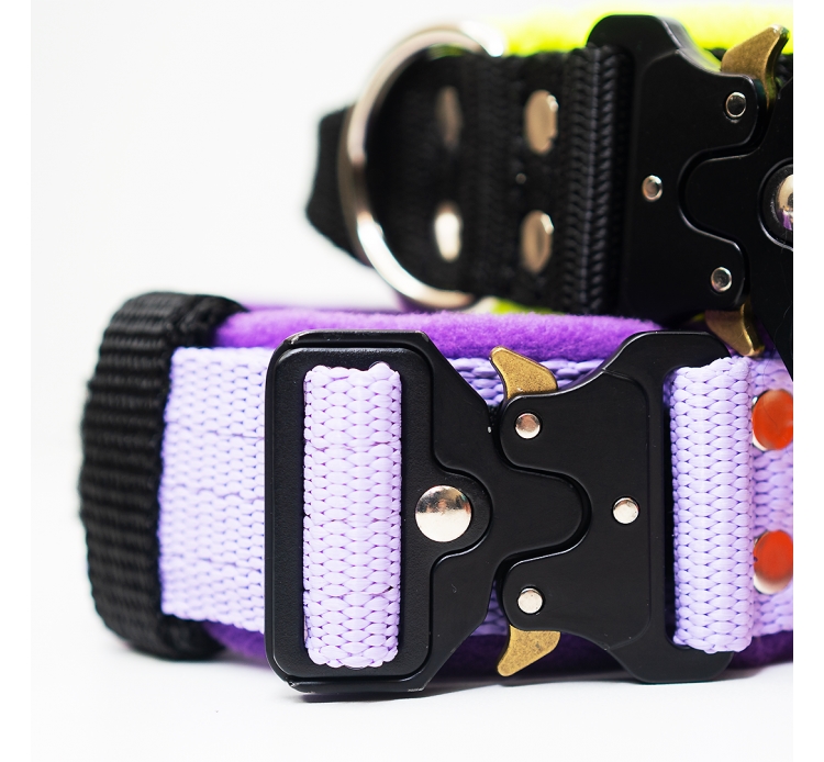 El Perro Extreme bélelt nyakörv, 4 cm