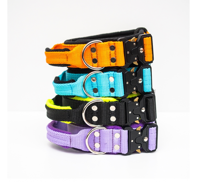 El Perro Extreme bélelt nyakörv, 4 cm