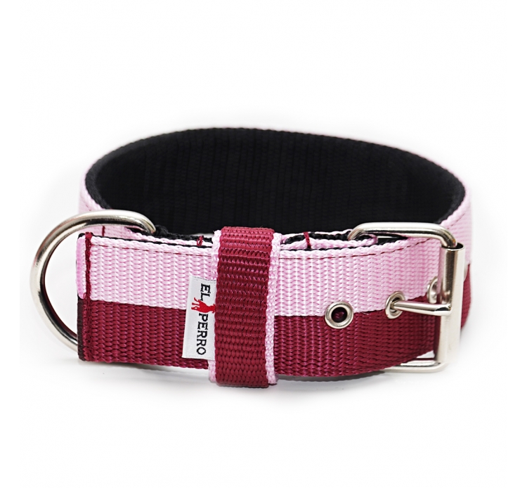 Két színű El Perro nyakörv, 5 cm