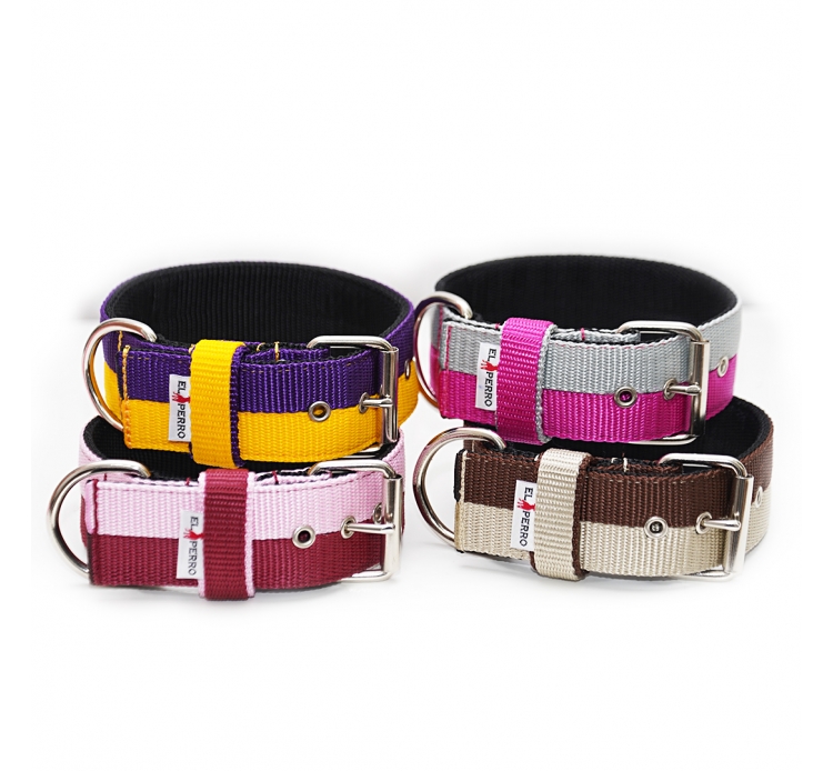 Két színű El Perro nyakörv, 5 cm Erős színes nyakörv, El Perro, 5 cm széles