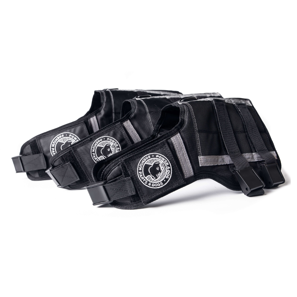 Súlyozott kutyahám Súlyozott kutyahám