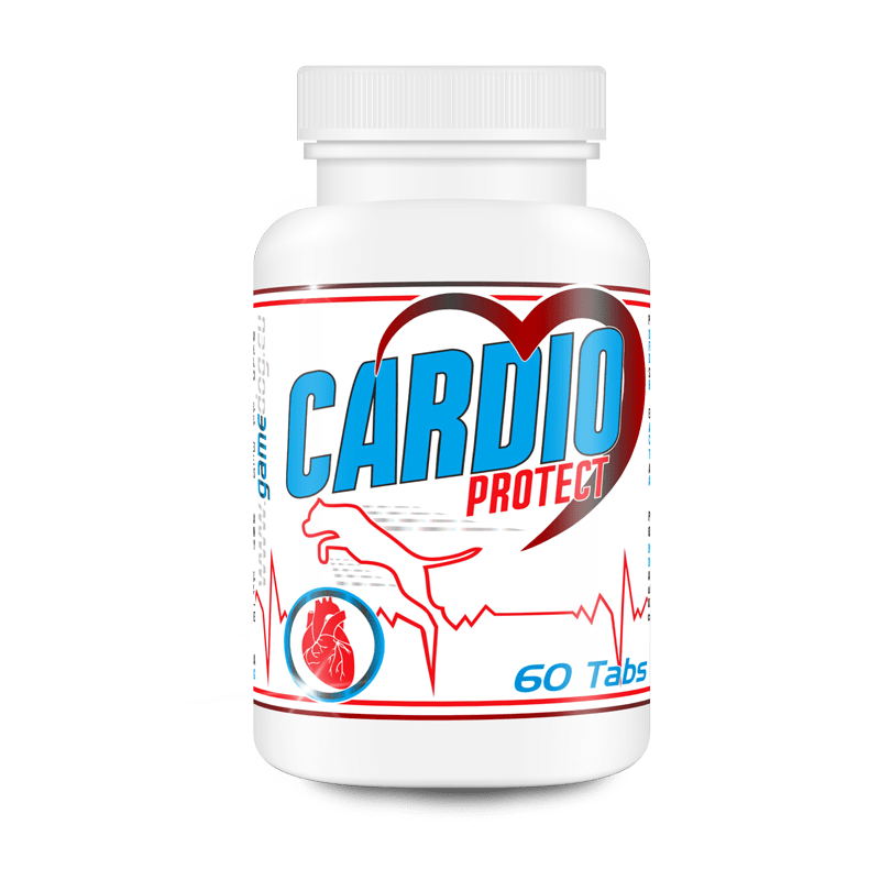 Cardio Protect, a szív védelme kutyáknak